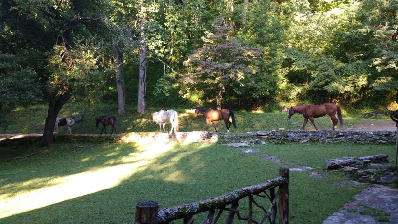 Arrowmont Stables & Cabins Cullowhee Exterior foto